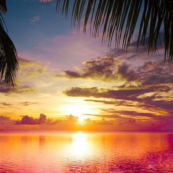 Accueil Location Jet Ski Saint Raphaël / Grimaud Jet Family's